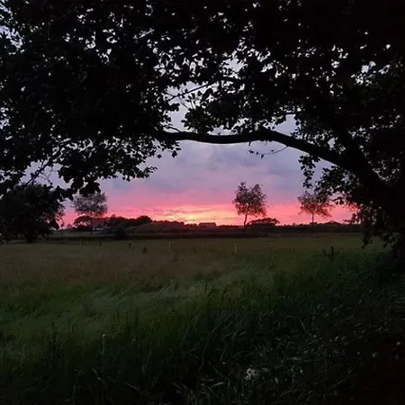 Bed & Coffee Maricoweg Gasthof Den Burg