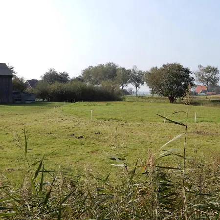 Affittacamere Bed & Coffee Maricoweg Den Burg